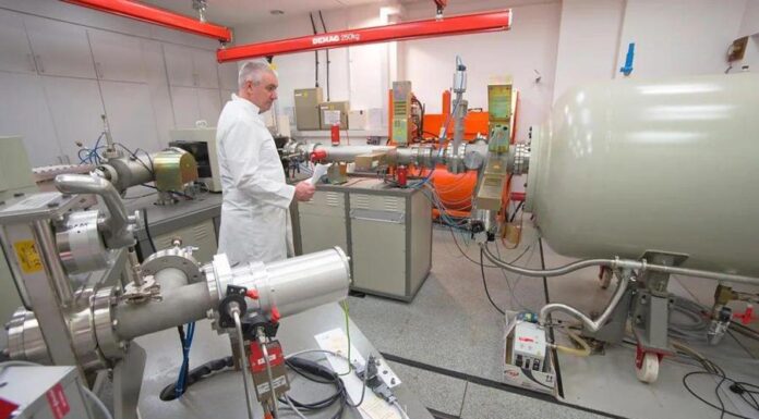 Естественные часы, которые вычисляют время смерти в нашем теле