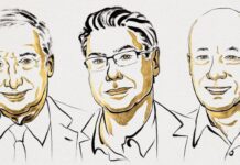 Трое ученых получили Нобелевскую премию по экономике. Они объяснили, как инновации помогли ayutthood, чтобы разбогатеть