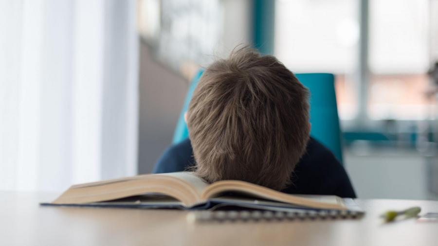 Математика не может быть дана природой 1 ba384d4a38fed8390316d3bc270ab4cb