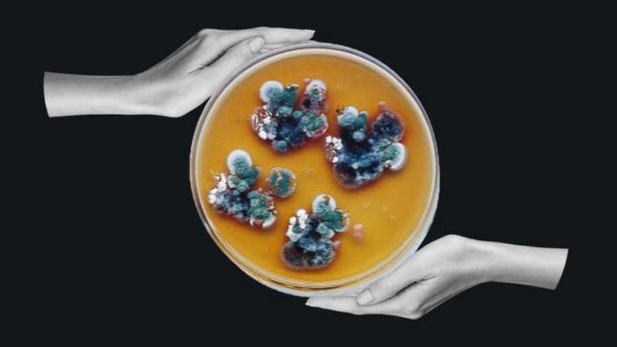 08d64bf61ff5d33d2fa2189e91cdcf5a