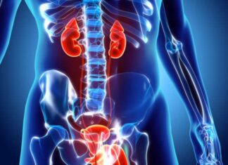 Запись на прием к урологу через сайт врача