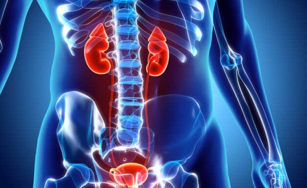 Запись на прием к урологу через сайт врача