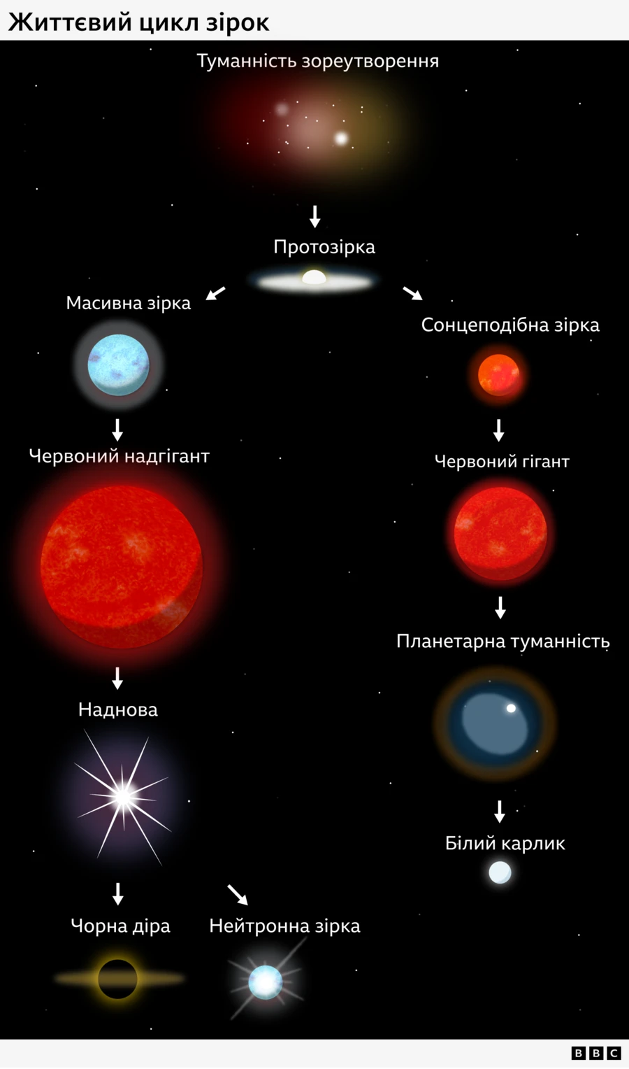 286b1341093f25a7d7c54beb508cbc0e