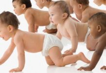 Дети викингов. Почему датский? сперма захватила мир