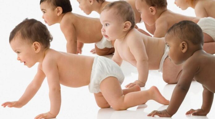 Дети викингов. Почему датский? сперма захватила мир