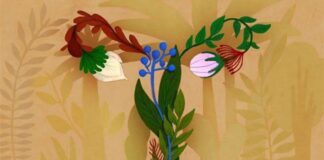 Как микробы во влагалище защищают здоровье и увеличивают шансы на беременность