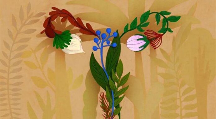 Как микробы во влагалище защищают здоровье и увеличивают шансы на беременность