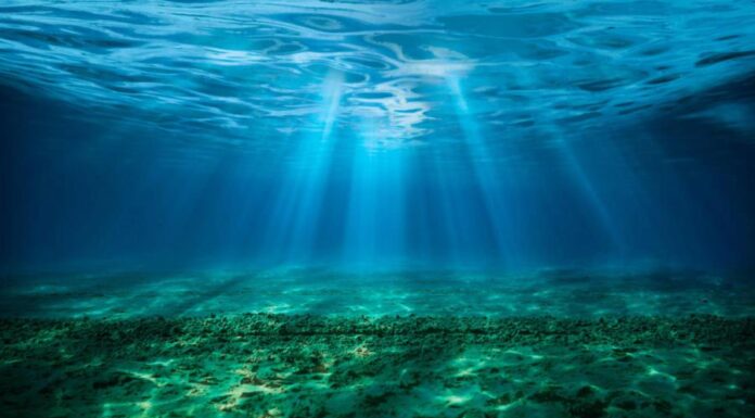 Уникальный «Затерянный город» на дне океана – где могла зародиться жизнь на Земле