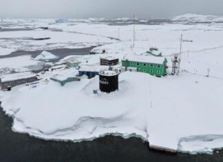 Первая женщина-лидер и открытие «озоновой дыры». Топ фактов к 30-летию украинской антарктической станции «Академик Вернадский»