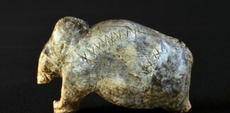 Люди научились писать на 40 000 лет раньше, чем думали. Как это выяснили