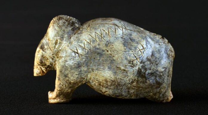 Люди научились писать на 40 000 лет раньше, чем думали. Как это выяснили