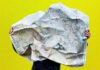 Новый способ улучшить концентрацию и внимание — действительно ли он работает