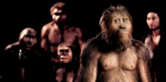 Как возник человеческий язык. Ученые смогли «послушать» разговоры пралюдей