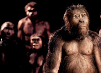 Как возник человеческий язык. Ученые смогли «послушать» разговоры пралюдей