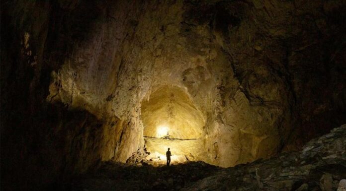 Жизнь без Солнца: открытие, которое заставит астрономов перенаправить телескопы