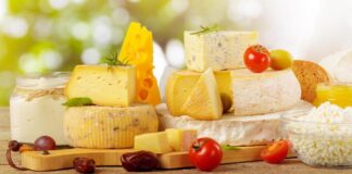 Какой сыр самый полезный для здоровья: рейтинг ученых