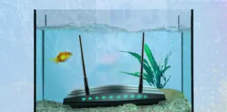 Микроволновка и другие неожиданные «враги» Wi-Fi. Как улучшить связь