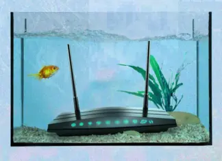 Микроволновка и другие неожиданные «враги» Wi-Fi. Как улучшить связь