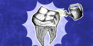Как отрастить зубы? Ученые близки к решению