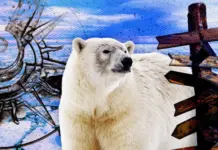 Сколько северных полюсов на самом деле