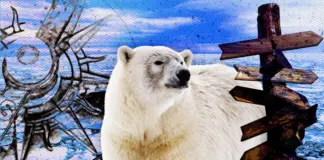 Сколько северных полюсов на самом деле