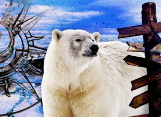 Сколько северных полюсов на самом деле