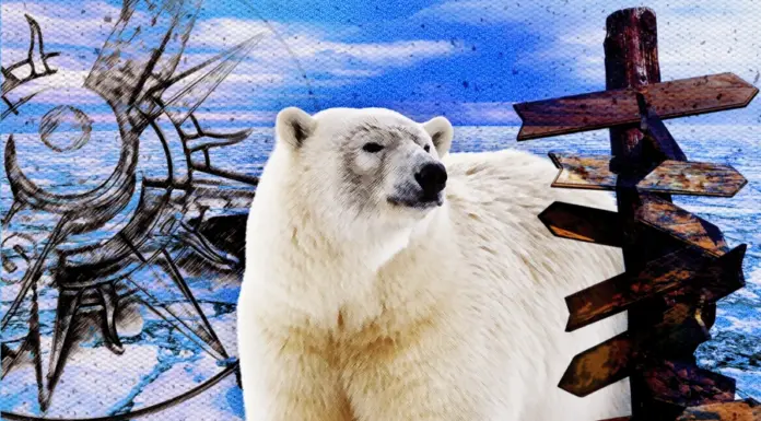 Сколько северных полюсов на самом деле